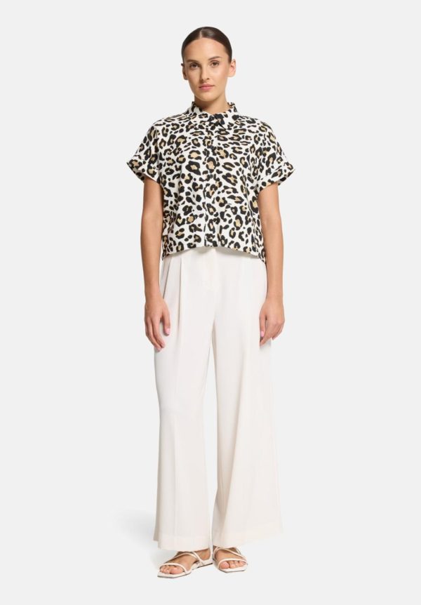 Coltongonzales.shop3923f43bfa 3