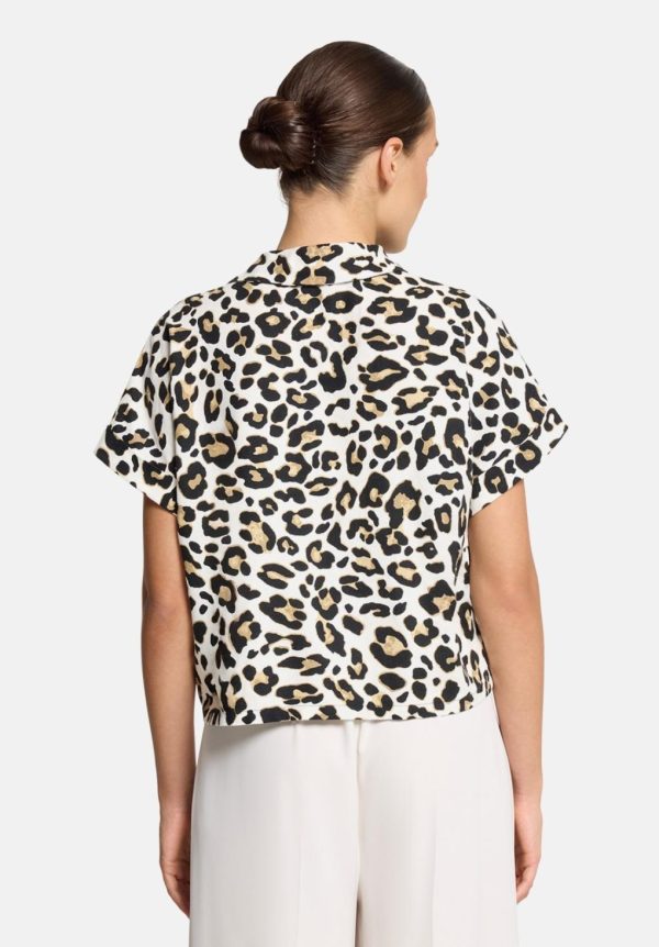 Coltongonzales.shop3923f43bfa 4