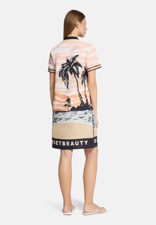 Coltongonzales.shop504484e00c 3