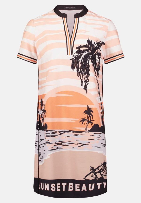 Coltongonzales.shop504484e00c 4