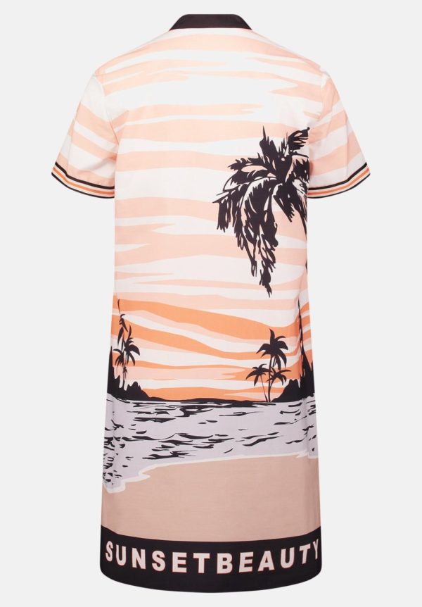 Coltongonzales.shop504484e00c 5