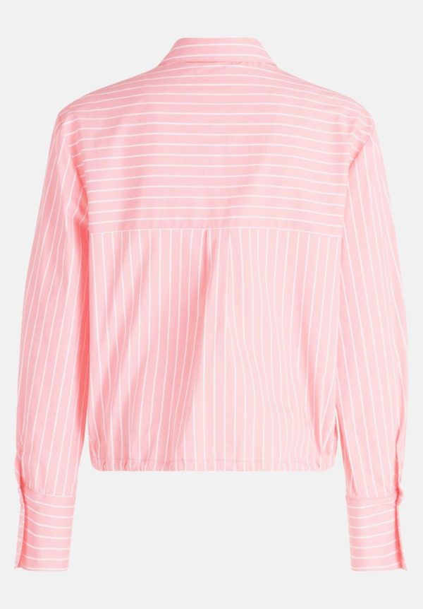 Coltongonzales.shop58814fc025 5