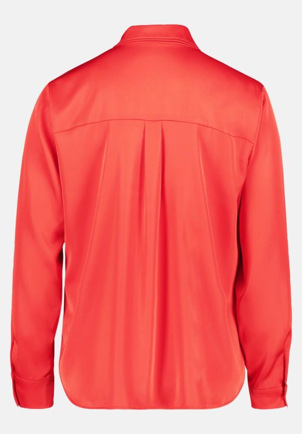 Coltongonzales.shop914058f900 5