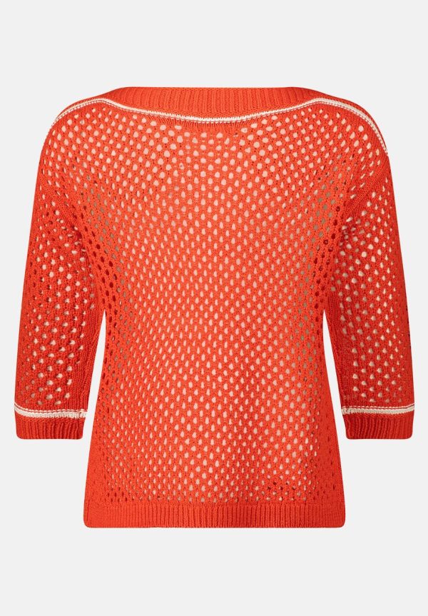 Coltongonzales.shopd262411b34 5