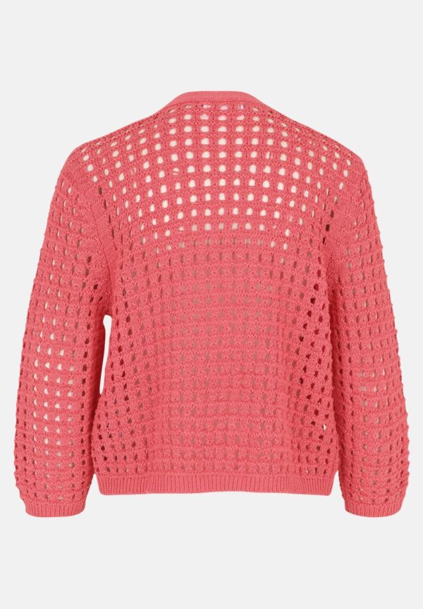 Coltongonzales.shopfa27fd295a 5